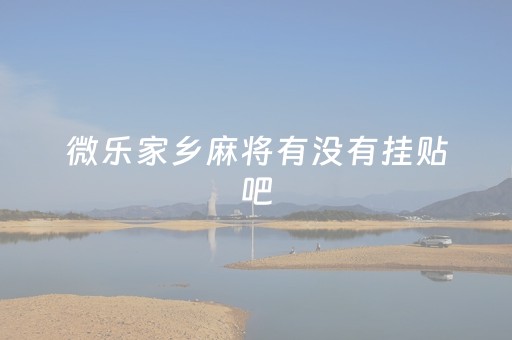 微乐家乡麻将有没有挂贴吧（微乐家乡麻将有开挂的吗）