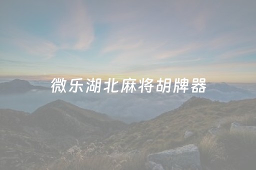 微乐湖北麻将胡牌器（湖北微乐家乡麻将）
