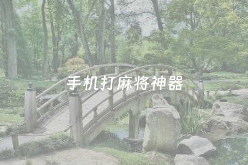 手机打麻将神器（手机打麻将神器安全吗）