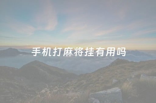 手机打麻将挂有用吗（手机上打麻将有没有挂）