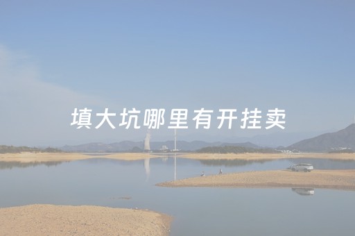 填大坑哪里有开挂卖（填大坑哪个平台可以玩）