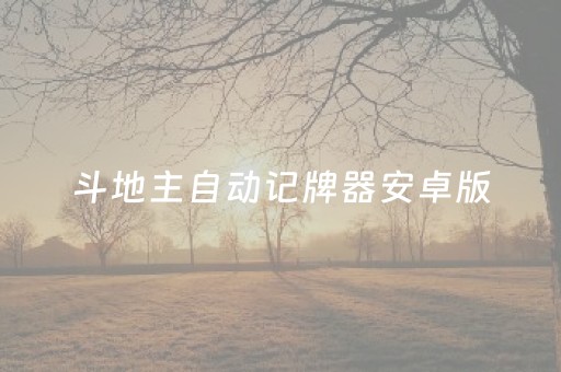 斗地主自动记牌器安卓版（斗地主记牌器安卓版怎么玩）