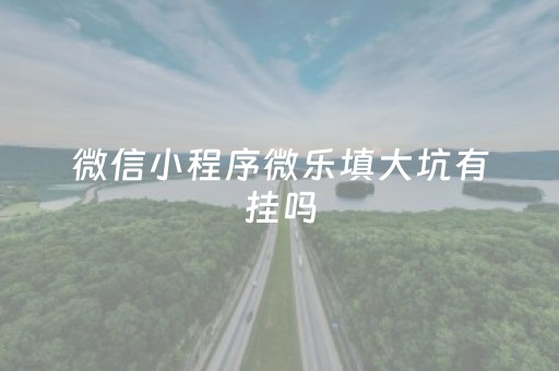 微信小程序微乐填大坑有挂吗（微乐填大坑有什么技巧）