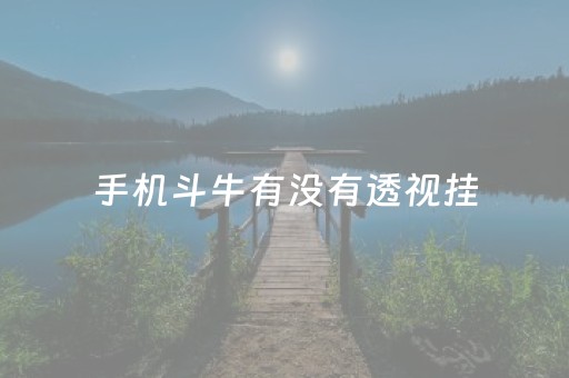 手机斗牛有没有透视挂（手机斗牛怎么开挂 教程）