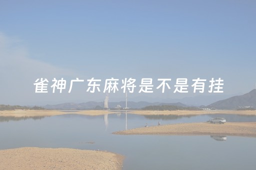 雀神广东麻将是不是有挂（雀神广东麻将小程序有挂吗另有马脚）
