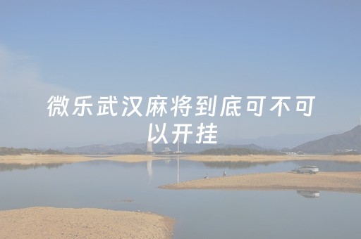 微乐武汉麻将到底可不可以开挂（微乐麻将规则介绍）