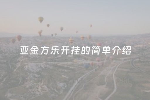 亚金方乐开挂的简单介绍