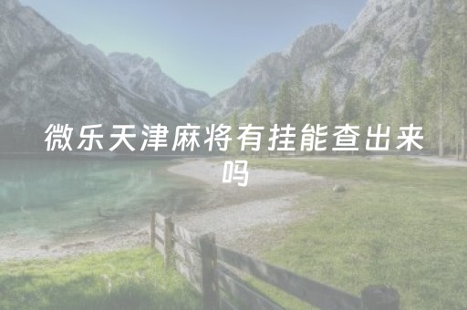 微乐天津麻将有挂能查出来吗（微乐天津麻将挂）