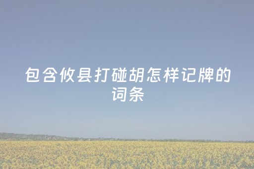 包含攸县打碰胡怎样记牌的词条（攸县碰胡高手技巧）