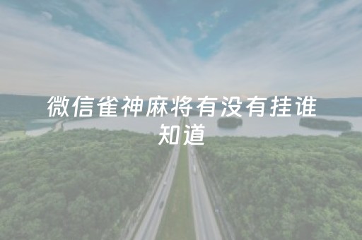 微信雀神麻将有没有挂谁知道（微信上的雀神麻将有挂方法么）