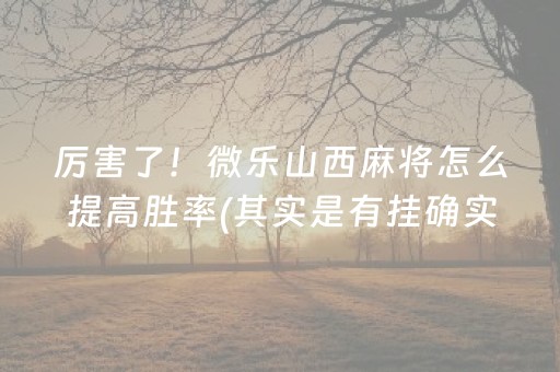厉害了！微乐山西麻将怎么提高胜率(其实是有挂确实有挂)