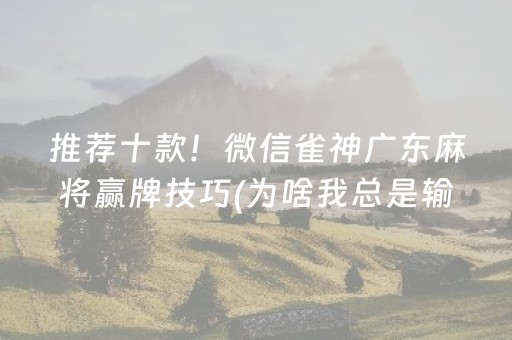 推荐十款！微信雀神广东麻将赢牌技巧(为啥我总是输)