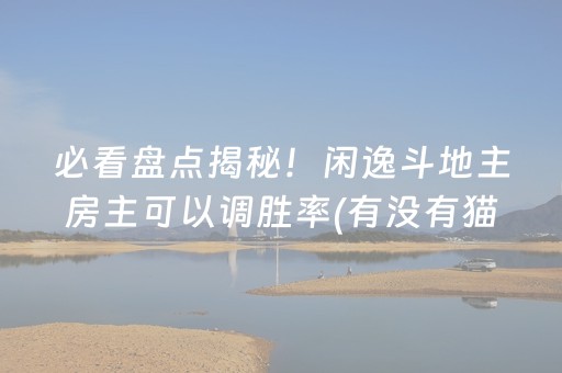 必看盘点揭秘！闲逸斗地主房主可以调胜率(有没有猫腻)