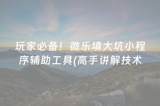 玩家必备！微乐填大坑小程序辅助工具(高手讲解技术)