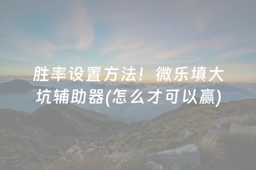 胜率设置方法！微乐填大坑辅助器(怎么才可以赢)