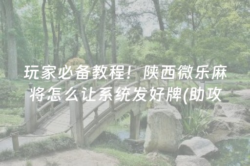 玩家必备教程！陕西微乐麻将怎么让系统发好牌(助攻神器怎么才会赢)