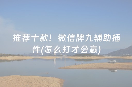 推荐十款！微信牌九辅助插件(怎么打才会赢)