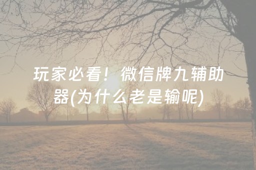 玩家必看！微信牌九辅助器(为什么老是输呢)