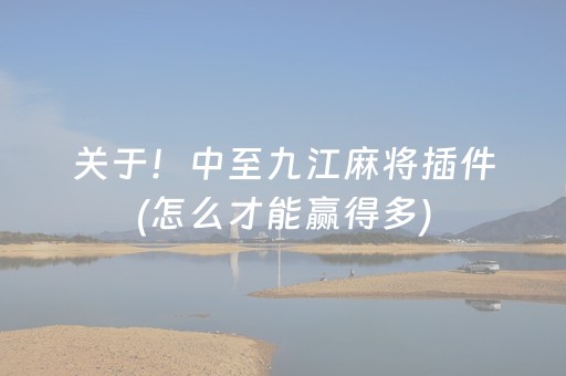 关于！中至九江麻将插件(怎么才能赢得多)