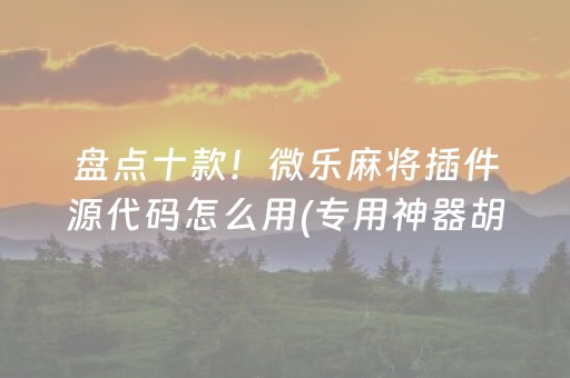 盘点十款！微乐麻将插件源代码怎么用(专用神器胡牌技巧)