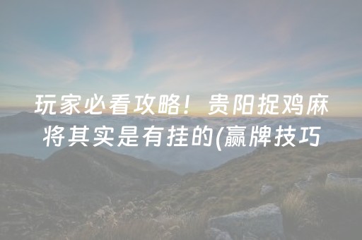 玩家必看攻略！贵阳捉鸡麻将其实是有挂的(赢牌技巧插件安装)
