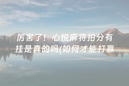 厉害了！心悦麻将拍分有挂是真的吗(如何才能打赢)