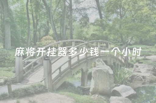 我来教大家！正宗乐平麻将到底是不是有挂(确实有挂)