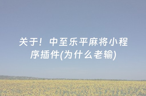 关于！中至乐平麻将小程序插件(为什么老输)