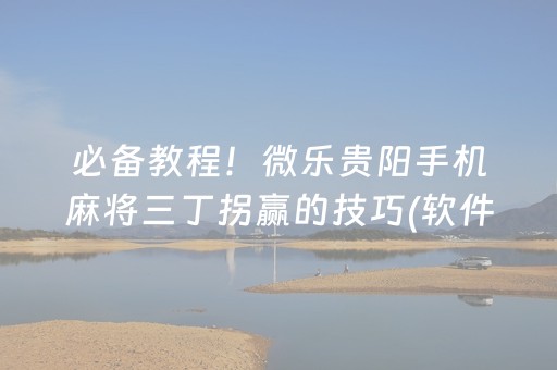 必备教程！微乐贵阳手机麻将三丁拐赢的技巧(软件怎么打赢)