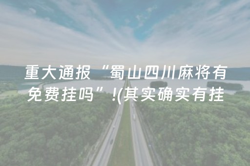 3分钟讲解！中至乐平麻将其实真的有挂(其实是有挂的)