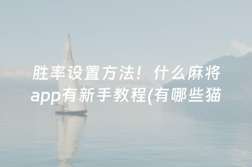 三分钟了解！圈友望江麻将究竟到底有挂吗(确实真有挂)