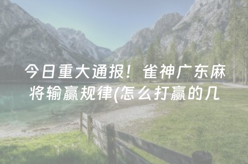 今日重大通报！雀神广东麻将输赢规律(怎么打赢的几率大)