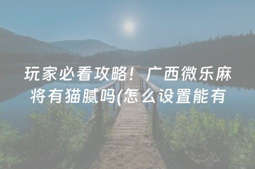 玩家必看攻略！广西微乐麻将有猫腻吗(怎么设置能有好牌)