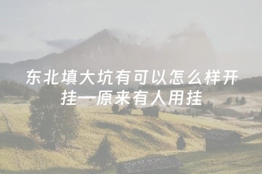 东北填大坑有可以怎么样开挂—原来有人用挂（东北填大坑怎么能逢赌必赢）