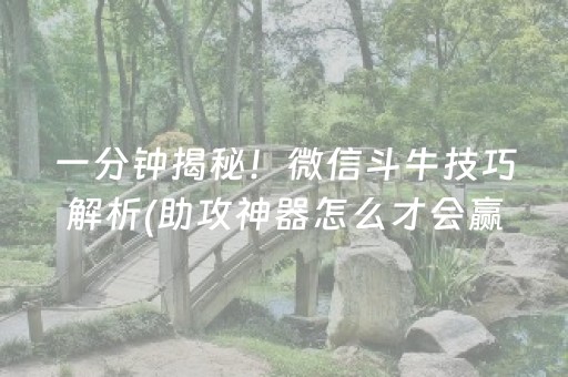 一分钟揭秘！微信斗牛技巧解析(助攻神器怎么才会赢)