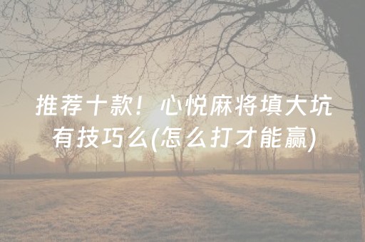 推荐十款！心悦麻将填大坑有技巧么(怎么打才能赢)