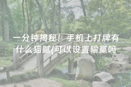 一分钟揭秘！手机上打牌有什么猫腻(可以设置输赢吗)