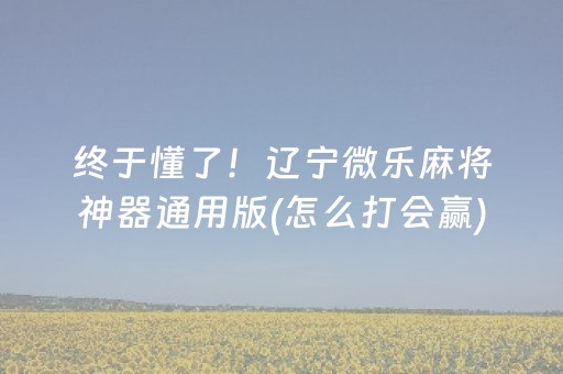 终于懂了！辽宁微乐麻将神器通用版(怎么打会赢)