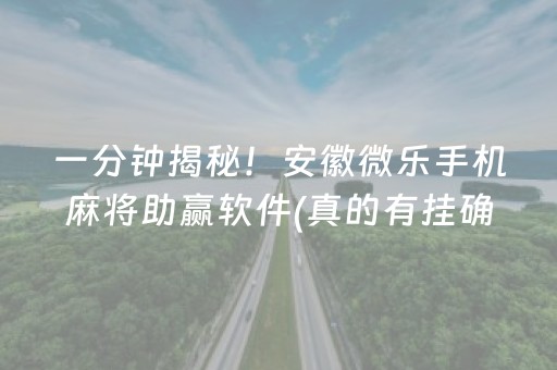 一分钟揭秘！安徽微乐手机麻将助赢软件(真的有挂确实有挂)