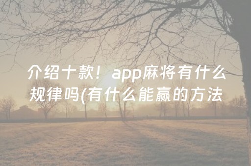 介绍十款！app麻将有什么规律吗(有什么能赢的方法)