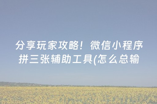 分享玩家攻略！微信小程序拼三张辅助工具(怎么总输有什么猫腻)