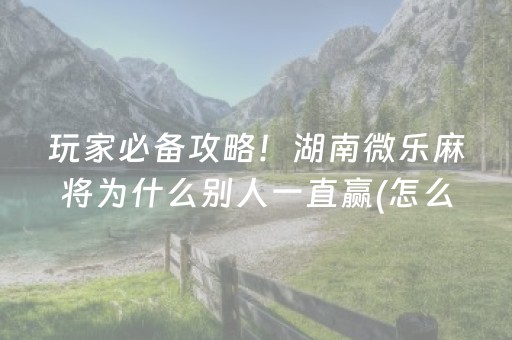 玩家必备攻略！湖南微乐麻将为什么别人一直赢(怎么打才赢)