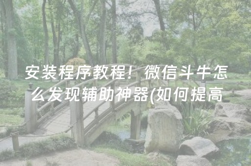 安装程序教程！微信斗牛怎么发现辅助神器(如何提高胡牌率)
