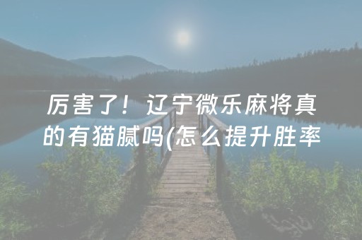 厉害了！辽宁微乐麻将真的有猫腻吗(怎么提升胜率)