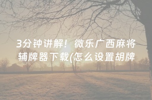 3分钟讲解！微乐广西麻将辅牌器下载(怎么设置胡牌)
