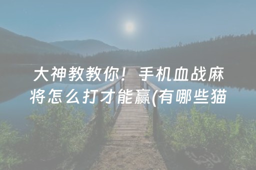 大神教教你！手机血战麻将怎么打才能赢(有哪些猫腻)