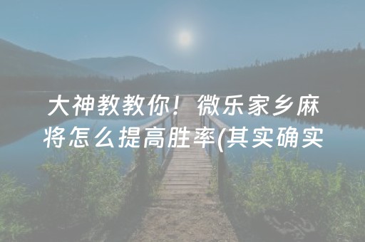 大神教教你！微乐家乡麻将怎么提高胜率(其实确实有挂)