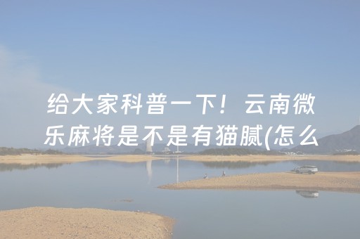 给大家科普一下！云南微乐麻将是不是有猫腻(怎么设置才能赢)