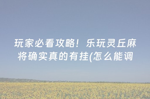 玩家必看攻略！乐玩灵丘麻将确实真的有挂(怎么能调好牌)