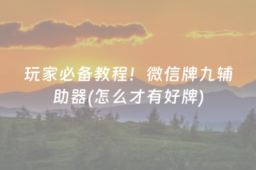 玩家必备教程！微信牌九辅助器(怎么才有好牌)